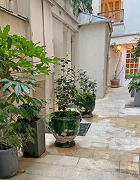 Courtyard view.  Camellia trees in green Provençal planters.