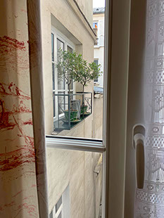 View of small balcony with two olive trees from the bathroom.